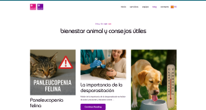 captura de pantalla 2025 08 11 131224