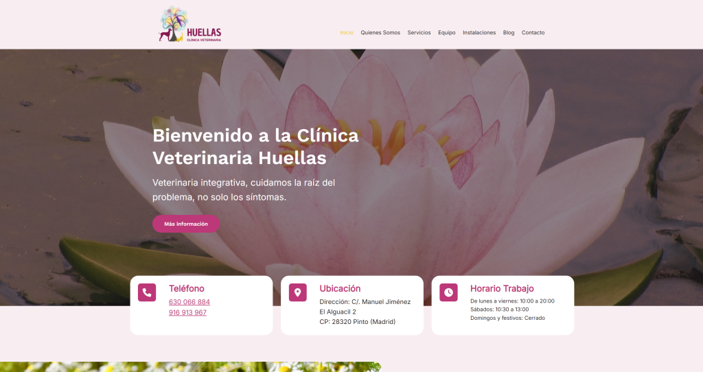 captura de pantalla 2025 08 11 132905 captura de pantalla 2025 08 11 132905