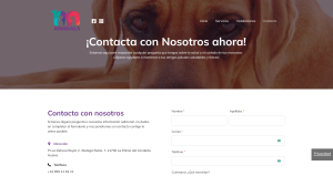 centro veterinaria animals, web para empresas
